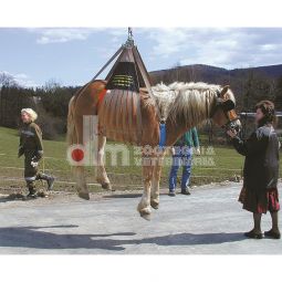 Alzabestiame a rete per equini