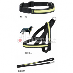 Accessori alta visibilità