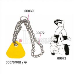 Catena, pinza, medaglione e anello