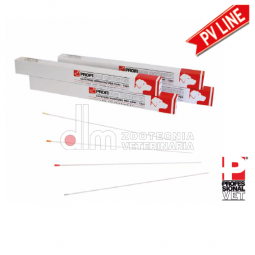 Cateteri vescicali per cani