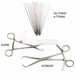 fissatori e chiodi ossivori