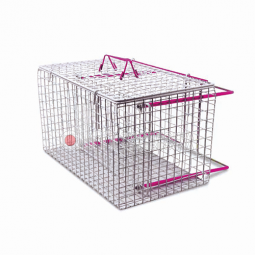 Gabbia chirurgica per cani e gatti