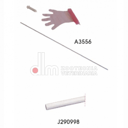 inseminazione equina