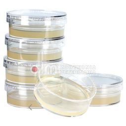 TEST DIAGNOSTICO SABARAUD AGAR