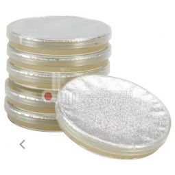 TEST DIAGNOSTICO MULLER HINTON AGAR