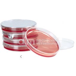 TEST DIAGNOSTICO MANNITOL SALT AGAR