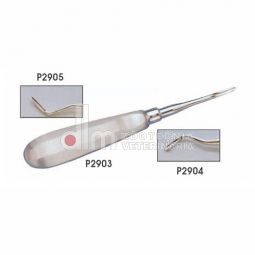 leve per estrazione denti