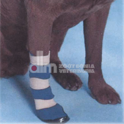 scarpetta per cani con suola rinforzata