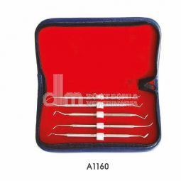 set cura denti professionale