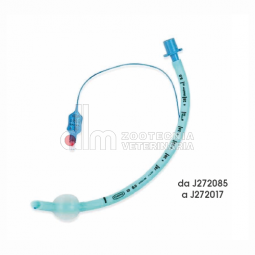 Sonde endotracheali