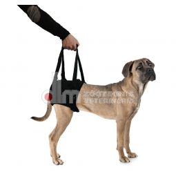 Supporti ARTI POSTERIORI PROFI DOG