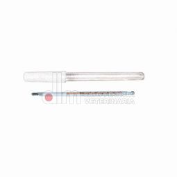 termometro veterinario prismatico