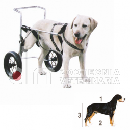 Carrellino supporto arti