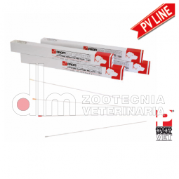 Cateteri vescicali per cani