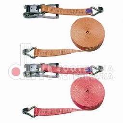 Cinghie a cricchetto