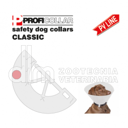 CollarI Elisabetta classicI