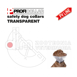 CollarI Elisabetta trasparentI