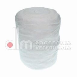 cotone idrofilo