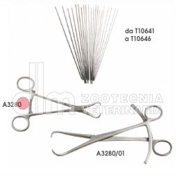 fissatori e chiodi ossivori