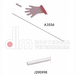 inseminazione equina