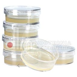 TEST DIAGNOSTICO SABARAUD AGAR