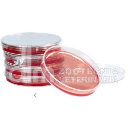 TEST DIAGNOSTICO MANNITOL SALT AGAR