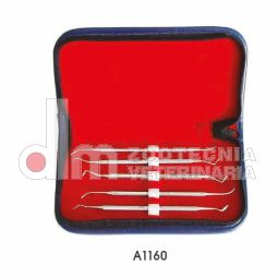 set cura denti professionale