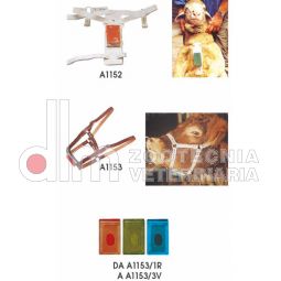 SIRE-SINE segnalatore