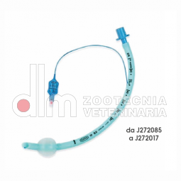 Sonde endotracheali