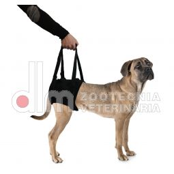 Supporti ARTI POSTERIORI PROFI DOG